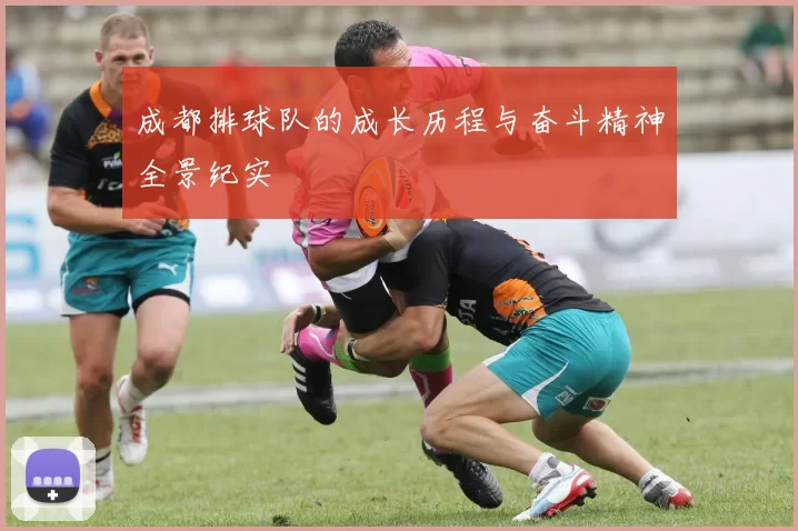 成都排球队的成长历程与奋斗精神全景纪实