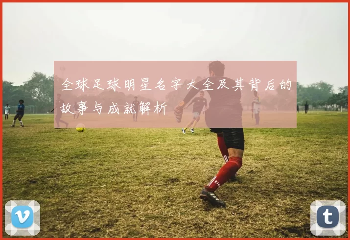 全球足球明星名字大全及其背后的故事与成就解析