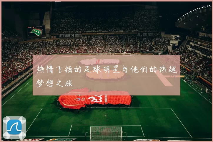 热情飞扬的足球明星与他们的热翅梦想之旅