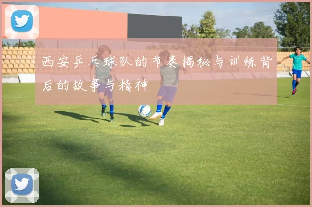 西安乒乓球队的节奏揭秘与训练背后的故事与精神
