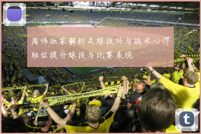 周伟独家解析足球技巧与战术心得助你提升球技与比赛表现