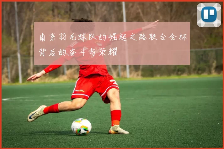 南京羽毛球队的崛起之路联合会杯背后的奋斗与荣耀