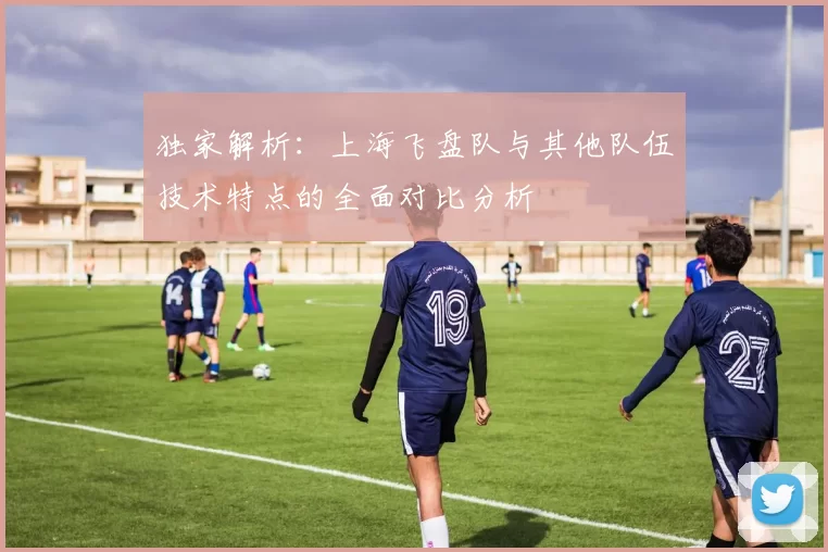 独家解析：上海飞盘队与其他队伍技术特点的全面对比分析