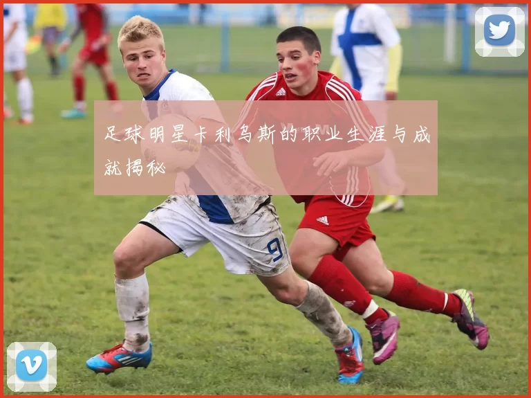 足球明星卡利乌斯的职业生涯与成就揭秘