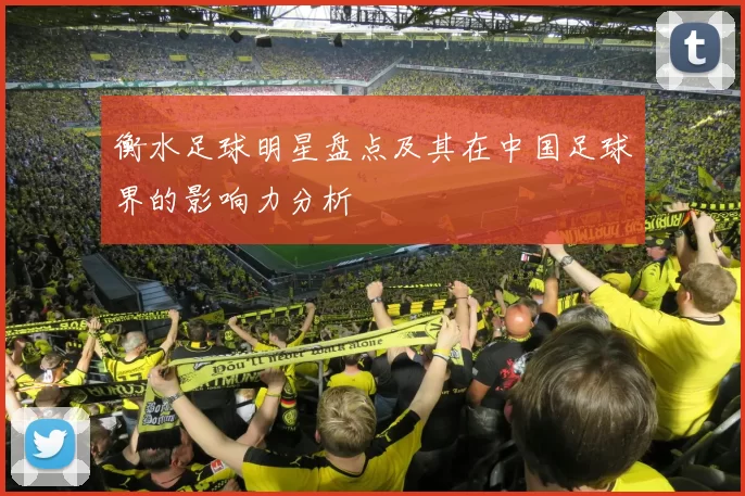 衡水足球明星盘点及其在中国足球界的影响力分析
