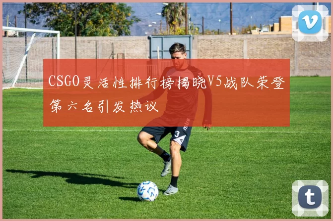 CSGO灵活性排行榜揭晓V5战队荣登第六名引发热议