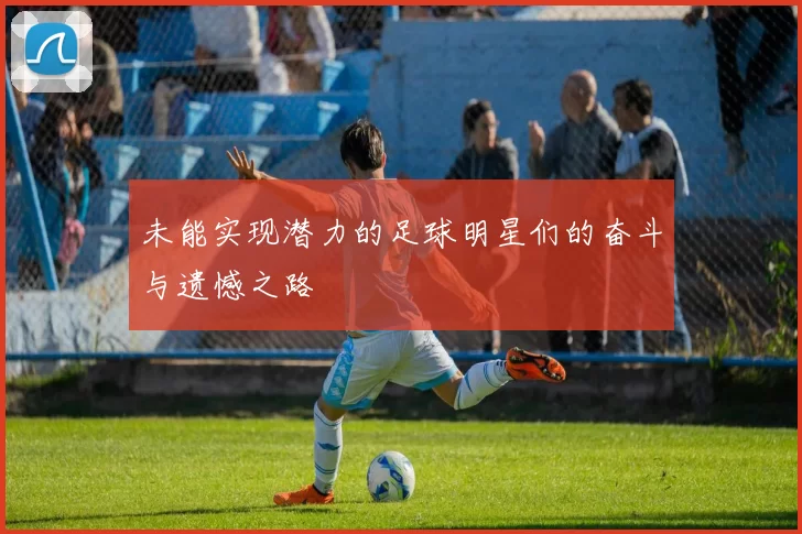 未能实现潜力的足球明星们的奋斗与遗憾之路