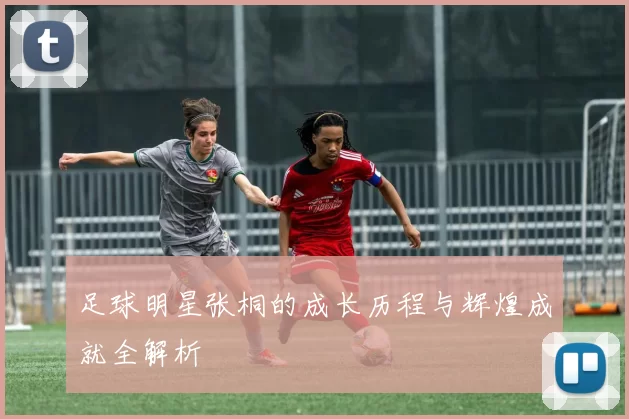 足球明星张桐的成长历程与辉煌成就全解析