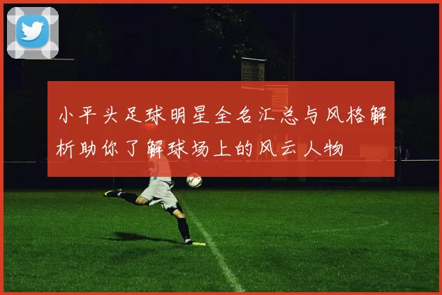 小平头足球明星全名汇总与风格解析助你了解球场上的风云人物