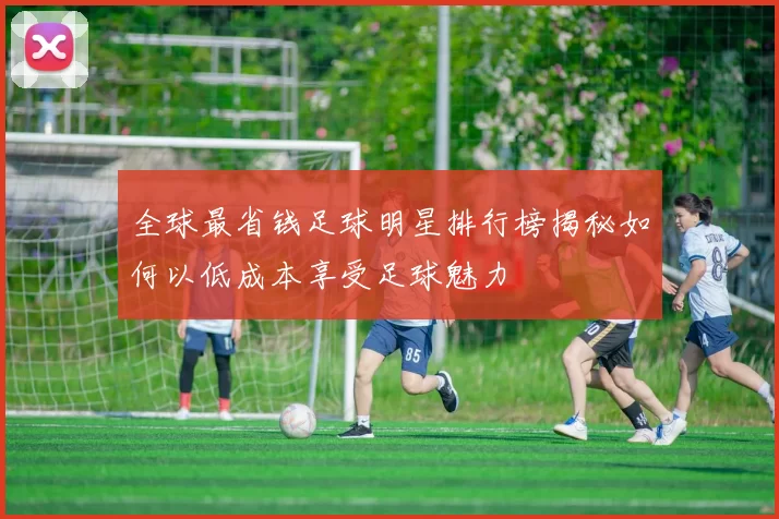 全球最省钱足球明星排行榜揭秘如何以低成本享受足球魅力