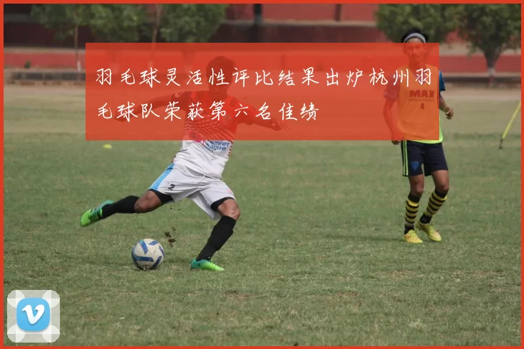 羽毛球灵活性评比结果出炉杭州羽毛球队荣获第六名佳绩