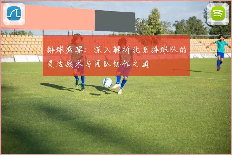 排球盛宴：深入解析北京排球队的灵活战术与团队协作之道