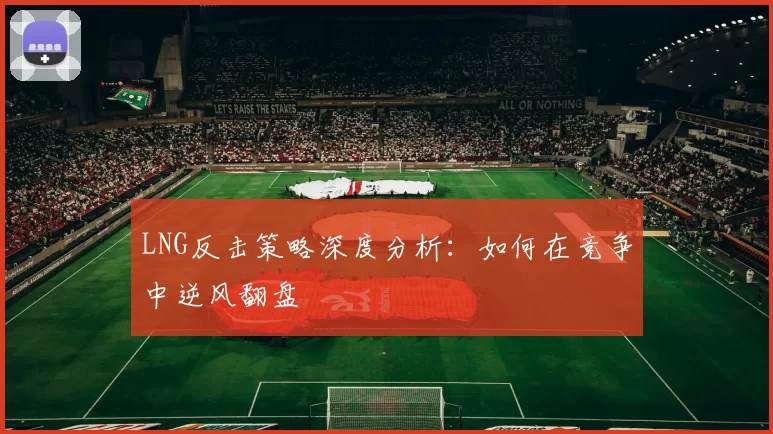 LNG反击策略深度分析：如何在竞争中逆风翻盘