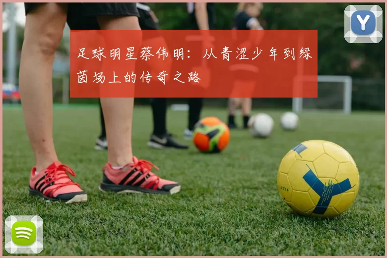 足球明星蔡伟明：从青涩少年到绿茵场上的传奇之路