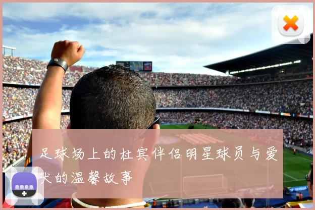 足球场上的杜宾伴侣明星球员与爱犬的温馨故事