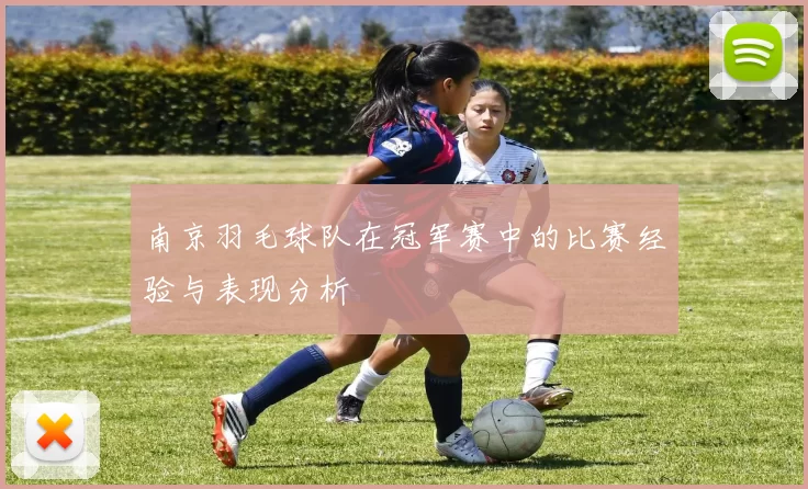 南京羽毛球队在冠军赛中的比赛经验与表现分析