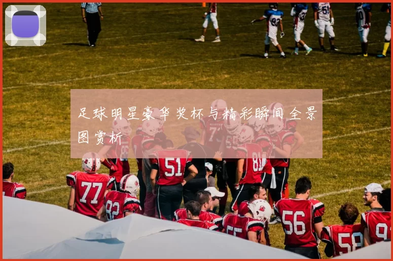 足球明星豪华奖杯与精彩瞬间全景图赏析