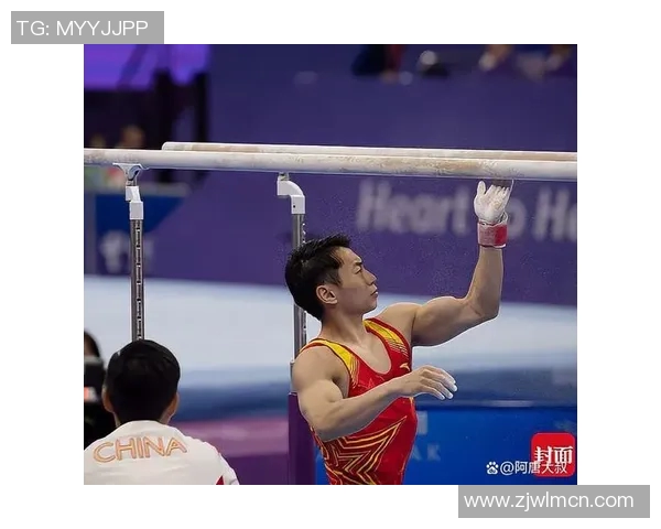 竞技体操难度等级划分与评分标准研究及其对运动员表现的影响分析