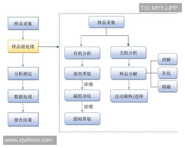 南京乒乓球队技术表现的数据分析与发展趋势研究 南京乒乓球队技术表现的数据分析与发展趋势研究