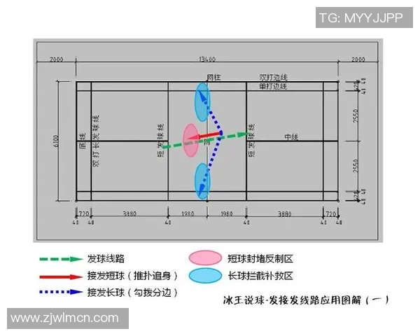 深入分析上海羽毛球队的整体压制战术及其对比赛的影响
