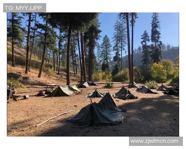 帐篷生活：探索野外露营的乐趣与实用技巧，打造专属于你的自然避风港